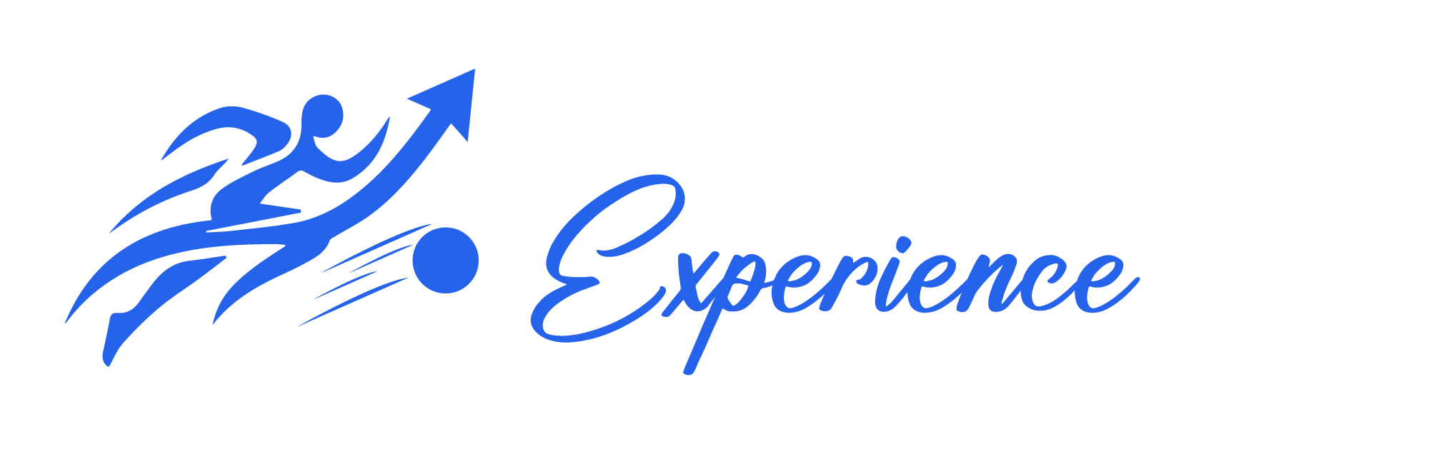 The Sport Experience